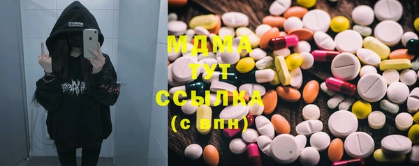 прущие грибы Верхний Тагил