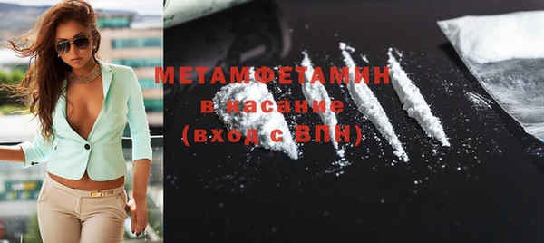 прущие грибы Верхний Тагил