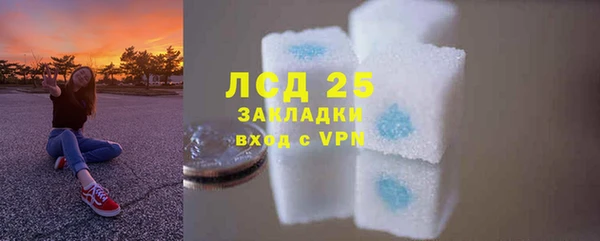 прущие грибы Верхний Тагил