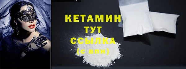 прущие грибы Верхний Тагил