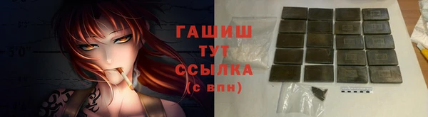 прущие грибы Верхний Тагил