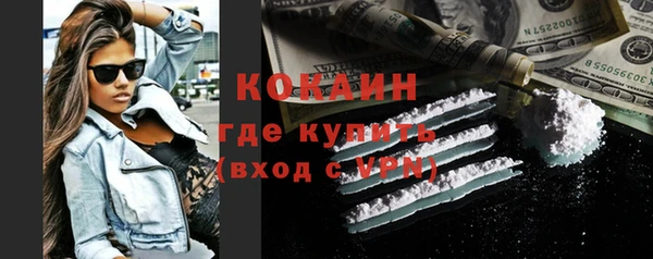 дживик Ельня