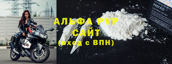 прущие грибы Верхний Тагил