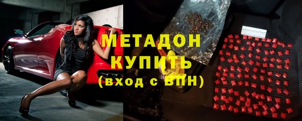прущие грибы Верхний Тагил