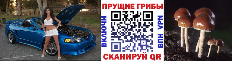 Псилоцибиновые грибы мицелий  даркнет как зайти  Дзержинский 